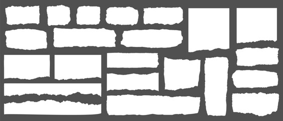Collection of torn paper edges on a gray background. Torn paper textures, ripped paper designs, and jagged paper edges create a raw, artistic look. Ripped element set. Vectors.