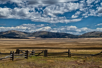Fototapeta premium New Mexico Meadow