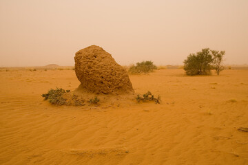 Sudan termite mound 