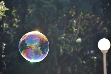 **Bubbles illuminated by sunlight**