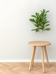Plant above stool in room. Minimalist style. Interior design for home decoration