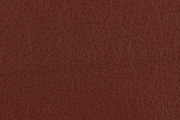The texture of genuine dyed leather. Macro photography. High resolution. 
