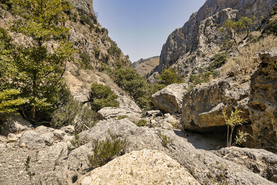 empty bed of a river that flows through a topolia gorge on the crete