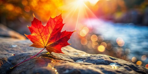 Happy Canada Day: Red Maple Leaf on Rock - Patriotism Stock Photo