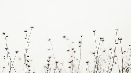 Abstract wildflowers, minimalist aesthetic, nature's delicate beauty, suitable for wallpaper or screensaver