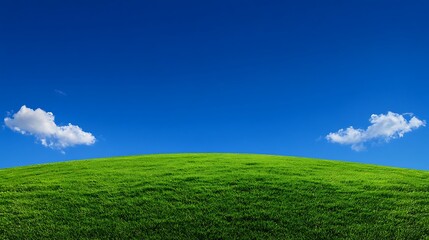 Fototapeta premium Lush Green Hill Under a Vivid Blue Sky