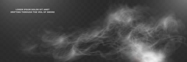Realistic white smoke or mist effect with soft, swirling patterns on a transparent background. Perfect for overlays and atmospheric designs.	

