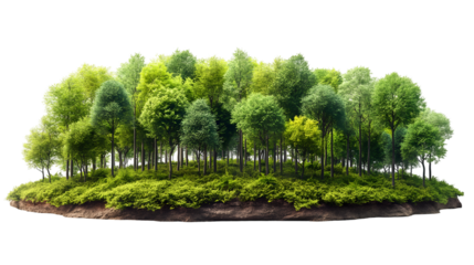 Green Forest Island 3D Nature Scene, Lush Trees on White Background for Spring Themes, isolated on transparent background.