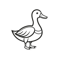 Obraz premium a outline vector of a mallard bird.eps