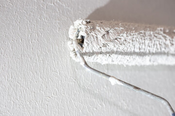 Home renovation. Plastering the surface of a plasterboard wall with a roller, close-up, copy space