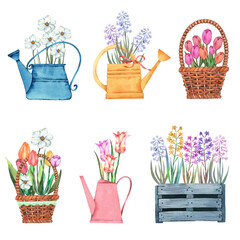 Spring flowers and watering cans set. Watercolor illustration.