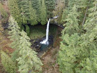 A magnificent waterfall flows through a thick forest in Oregon. The entire Pacific Northwest is...