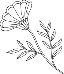Elegant Line Art Flower Drawing Botanical Illustration, Simple Bloom