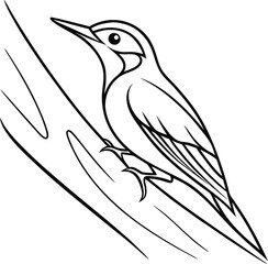 Line Art Woodpecker Bird on Branch, Nature Illustration, Wildlife