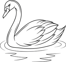 Elegant White Swan, Graceful Waterfowl, Line Drawing, Bird Illustration