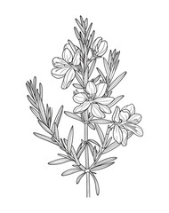 Victor Illustration Of Floral Flower