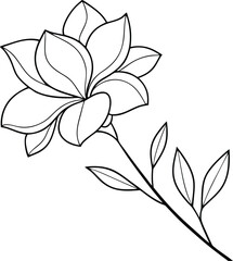 Elegant Line Art Magnolia Flower Botanical Illustration Drawing