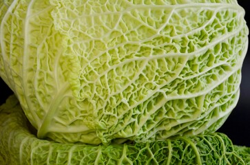 fresh green cabbage