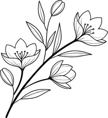Elegant Line Art Floral Branch with Delicate Blossoms