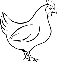 Simple Line Drawing of a Domestic Hen Poultry Bird