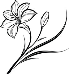 Elegant Black and White Lily Flower Line Art Drawing Illustration