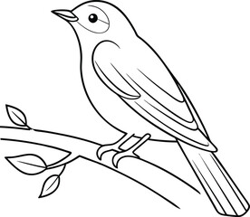 Simple Line Drawing of a Bird on a Branch
