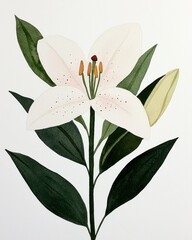 Delicate white lily flower illustration botanical art indoor minimalist design natural beauty