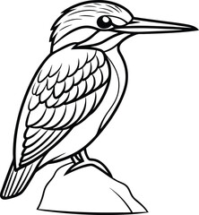 Common Kingfisher Bird Line Art Drawing Illustration Sketch