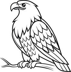 Majestic Bald Eagle Line Drawing, Bird of Prey, Wildlife Illustration