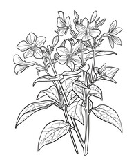 Victor Illustration Of Floral Flower
