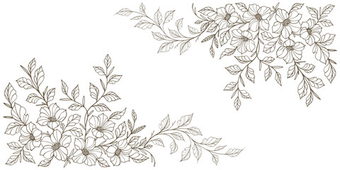 Line art floral botanical on transparent background vector. floral, flowers, leaves, foliage, branches in hand drawn. Floral frame design