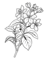 Victor Illustration Of Floral Flower