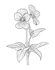 Victor Illustration Of Floral Flower