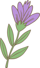 Obraz premium Adorable cartoon illustration of a delicate purple wildflower with green leaves. Perfect for spring, nature, botanical designs, and decorative floral elements