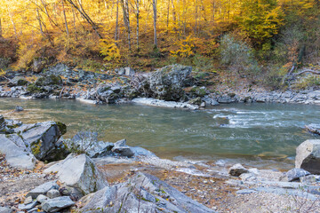 morning in a mountainous area, frost falling on the trees, the first rays of the sun awaken nature