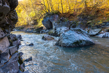 morning in a mountainous area, frost falling on the trees, the first rays of the sun awaken nature