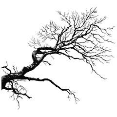 Obraz premium elegant illustration of dead tree branches