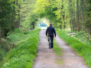 Obraz premium a man walking along a forest road