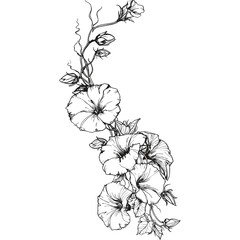 vector illustration of flowers