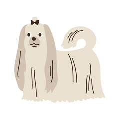 Cute maltese baloney, dog standing. Pet, breed. Isolated flat vector illustration