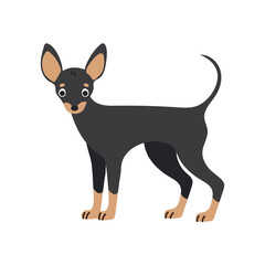 Cute dog toy terrier standing. Pet, breed. Isolated flat vector illustration