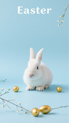 White fluffy rabbit sits on blue isolated background among traditional eggs symbolizing the holiday