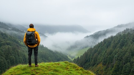 Obraz premium A hiker in a yellow jacket stands on a green hill, overlooking a misty valley surrounded by lush forests under a cloudy sky.