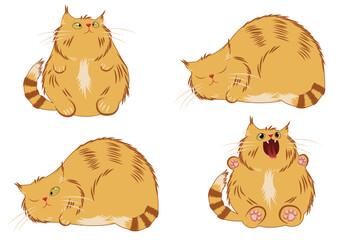 Fat ginger cat sits and sleeps in different poses, vector image on white background
