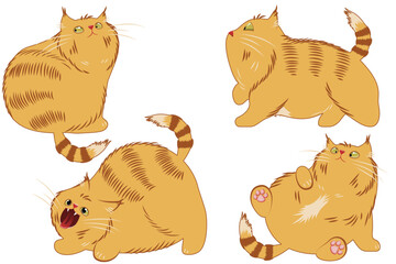 Fat ginger cat in different poses, vector image on white background
