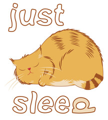 Fat ginger sleeping cat and the words just sleep, minimalistic illustration  on white background
