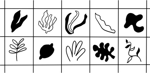 Minimalist Botanical Line Art &ndash; Nature Inspired Aesthetics Illustration Set