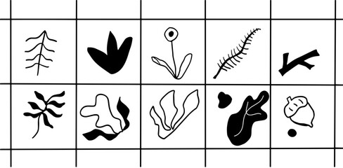 Minimalist Botanical Line Art &ndash; Nature Inspired Aesthetics Illustration Set