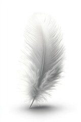 Isolated white feather, studio shot,  subtle shadow,  peaceful aesthetic