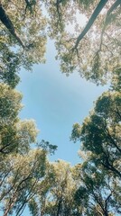 Obraz premium Clear Blue Sky and Lush Green Trees Seen from Below, Vertical Composition for Earth Day Environmental Campaigns